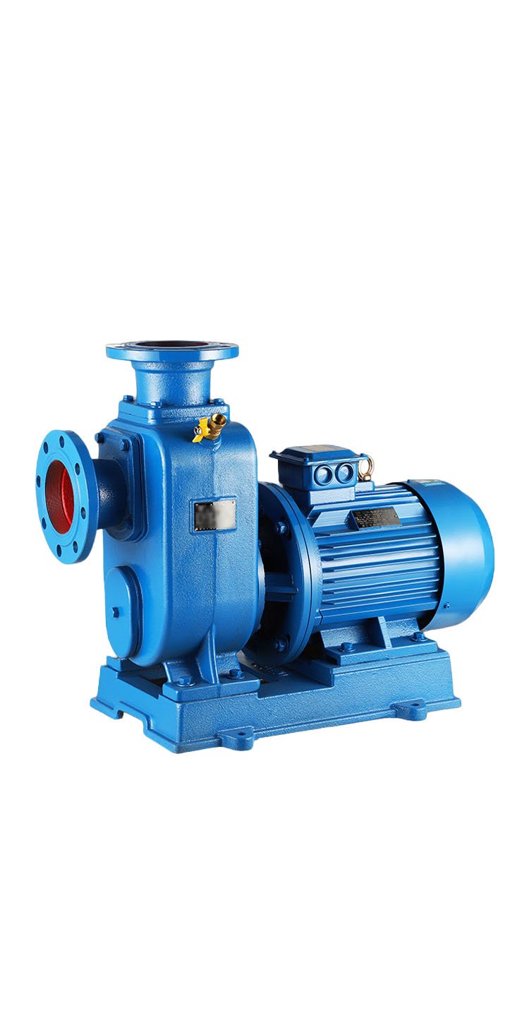 WANDONG ENVIRO Self-Priming Permeate Suction Pump